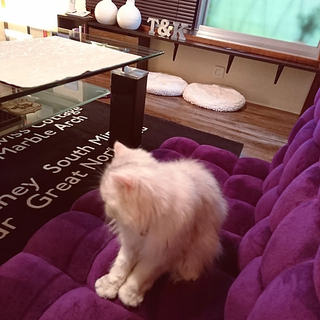 kumikkeyさんの実例写真