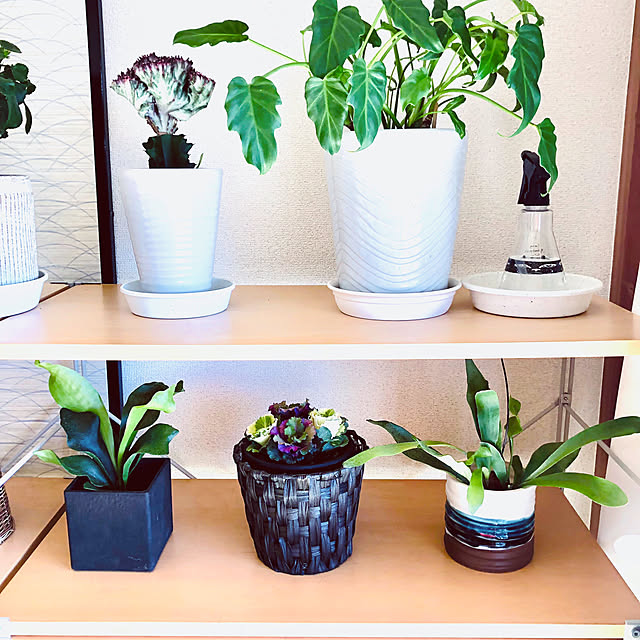 hanachanさんの部屋