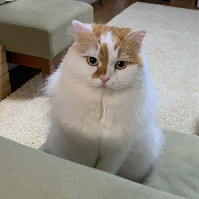 keiさんの実例写真