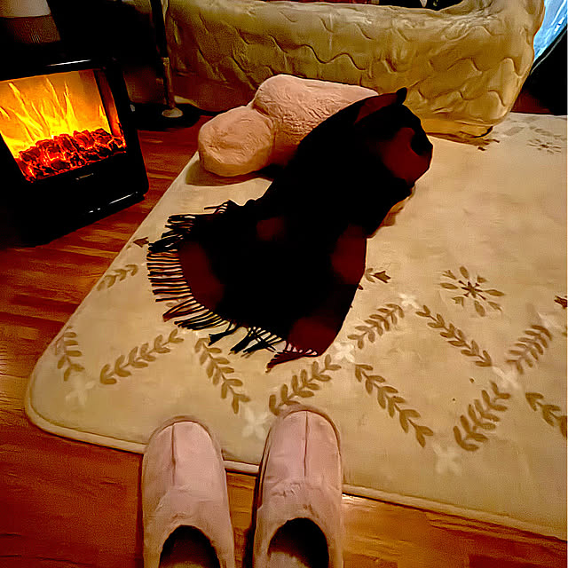 syutmmさんの実例写真