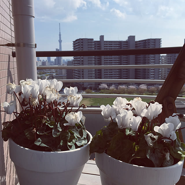 HKSさんの実例写真