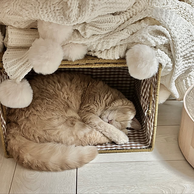 naokoさんの実例写真