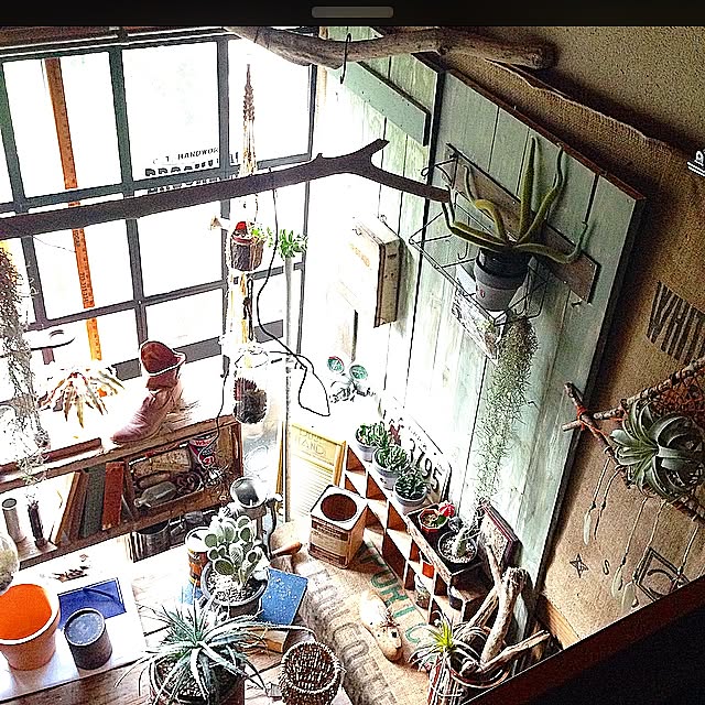 edenさんの実例写真