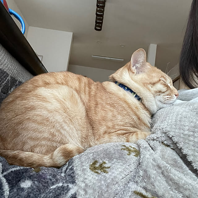 chiiさんの実例写真