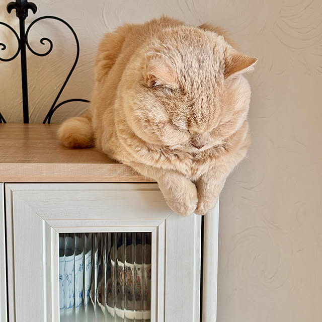 naokoさんの実例写真