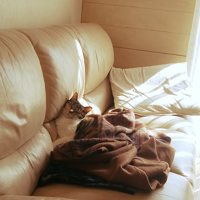 tomo1220さんの実例写真