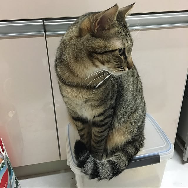 baronkotarouさんの実例写真