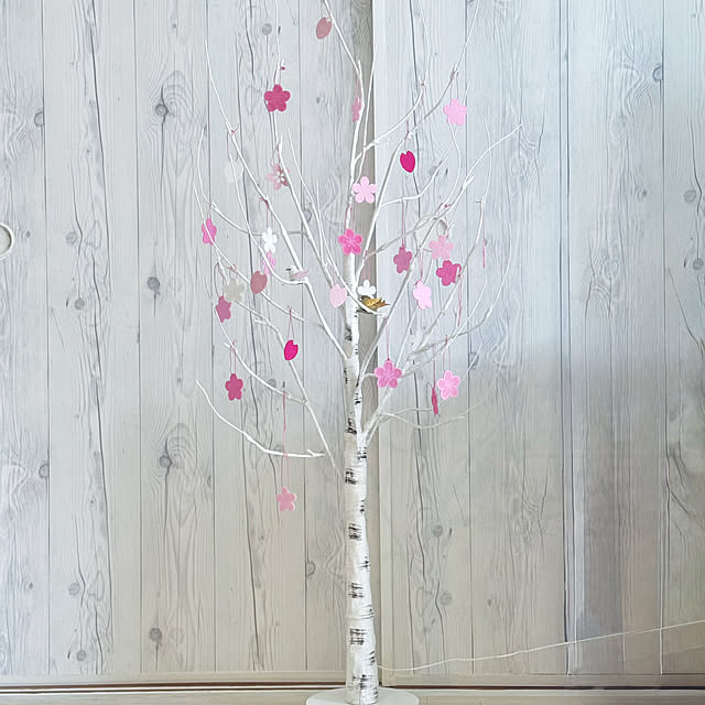 funiさんの実例写真