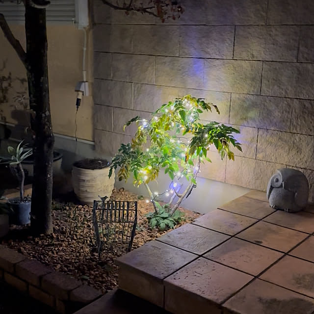 mama_sanさんの実例写真