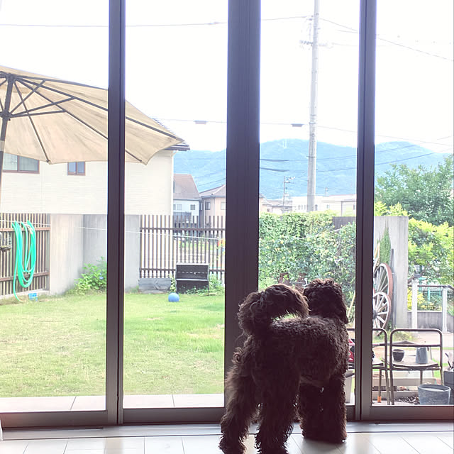 Aiさんの実例写真