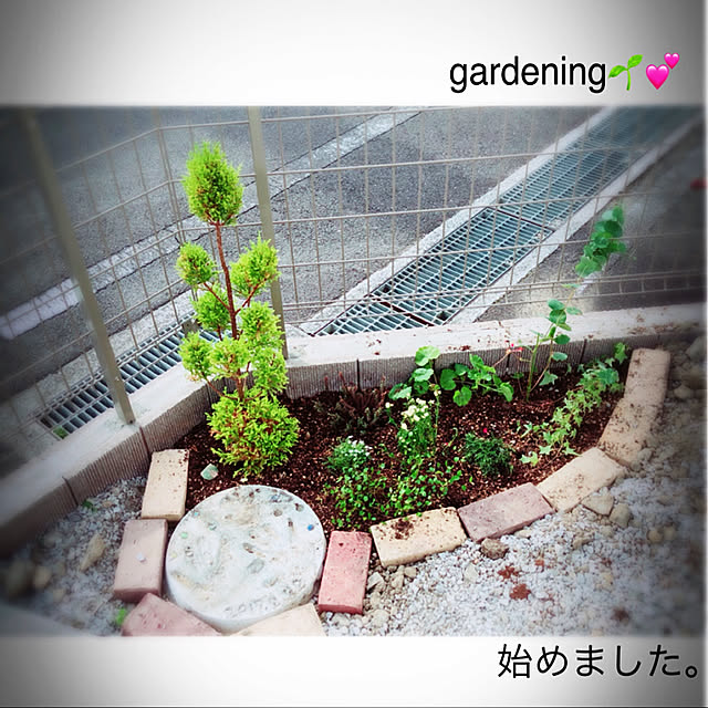 minmim.さんの実例写真