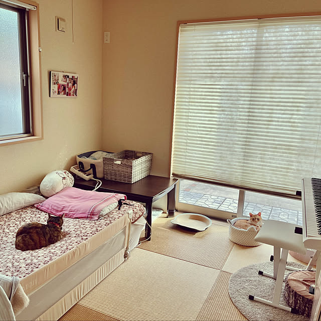 chiiさんの部屋