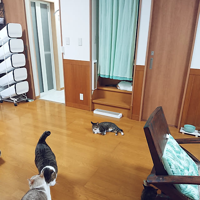 nachiさんの実例写真
