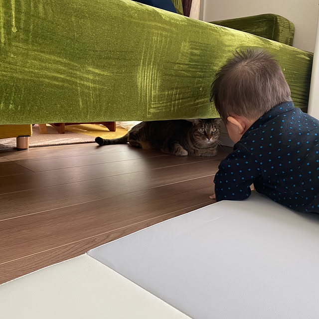 mikomaruさんの実例写真