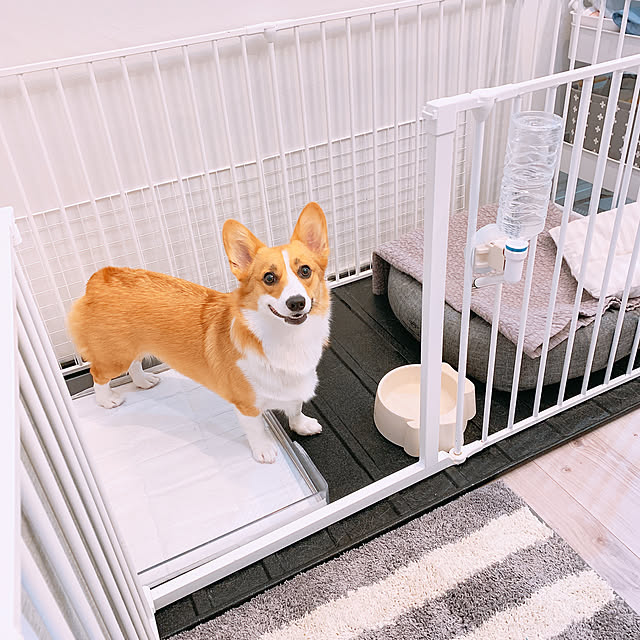 3ayuさんの実例写真