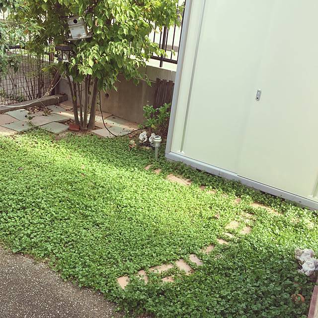 me_sweetさんの実例写真