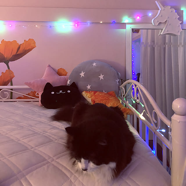 kanaさんの実例写真