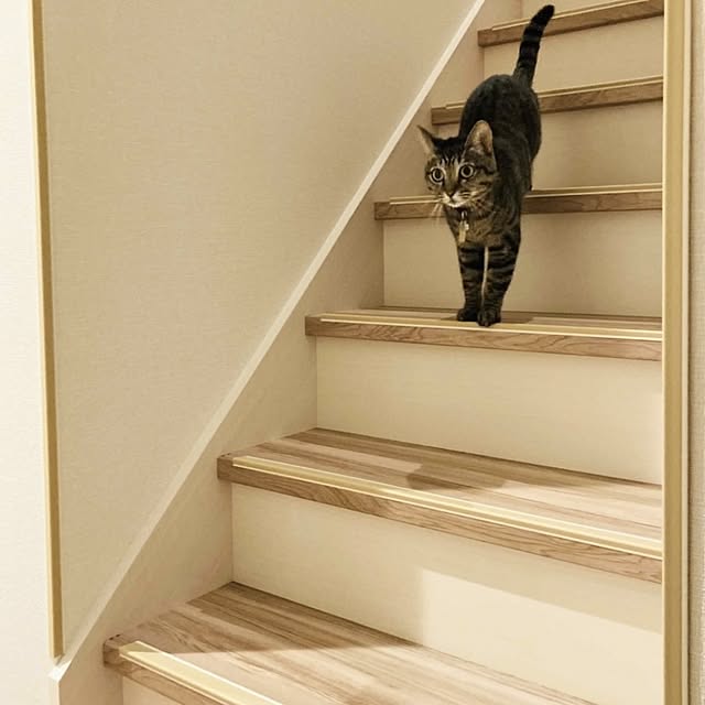 Assistさんの実例写真