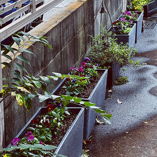chacoさんの部屋