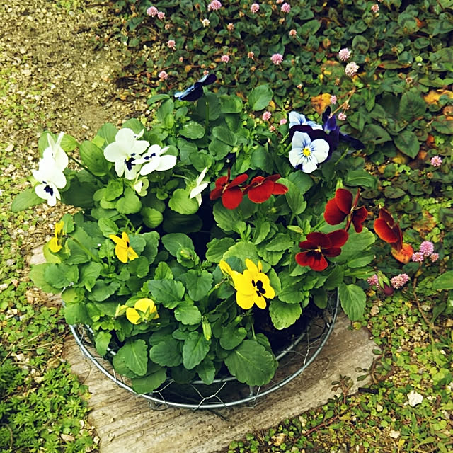 hi-yaさんの実例写真