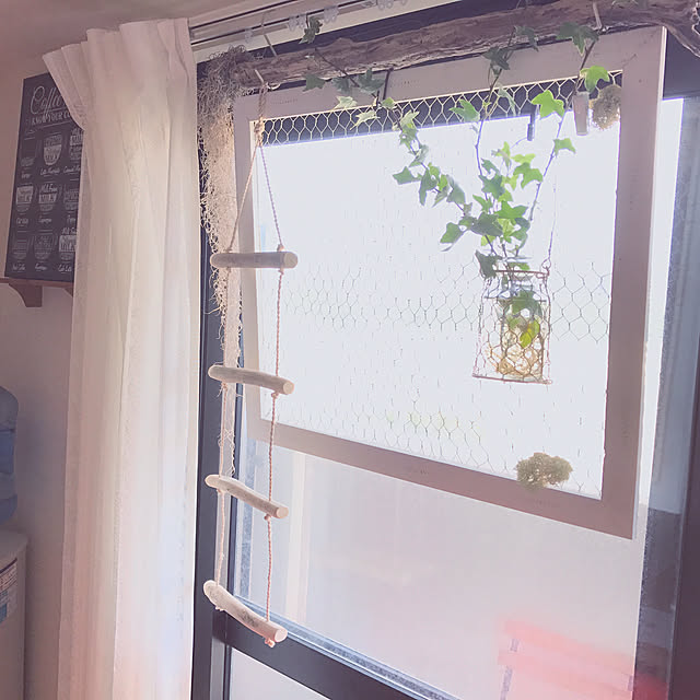 youさんの実例写真