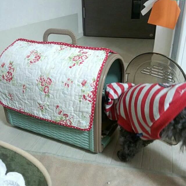 ariさんの実例写真