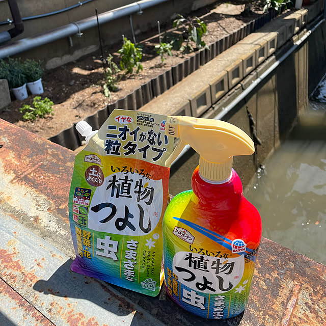 SIELUさんの部屋