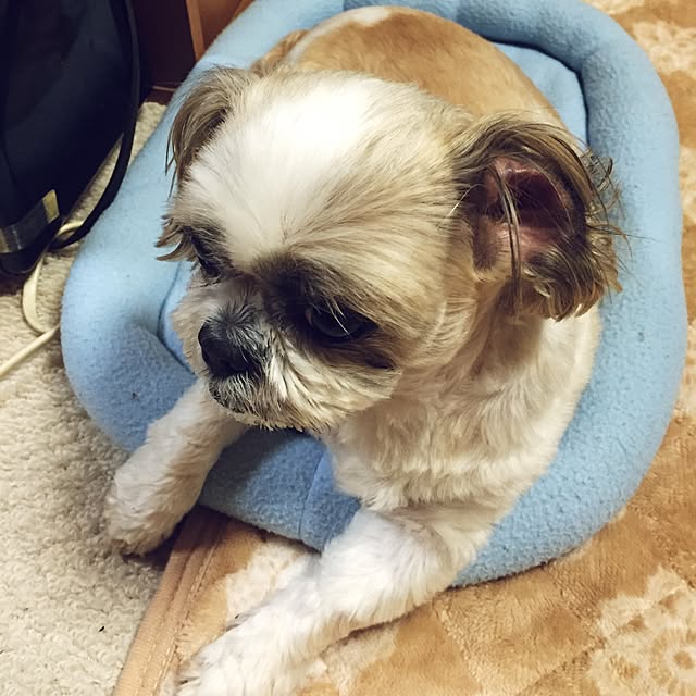 seriaさんの実例写真