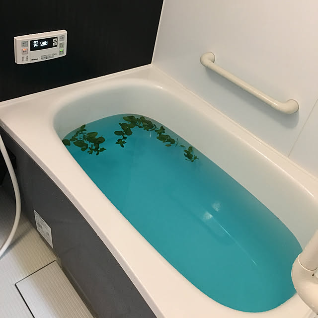 dokupin117さんの実例写真