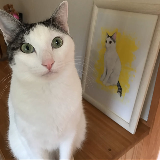 実例写真