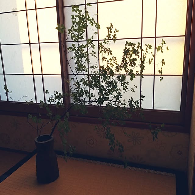 kakkaさんの実例写真