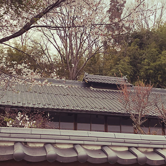 mill_0303さんの実例写真