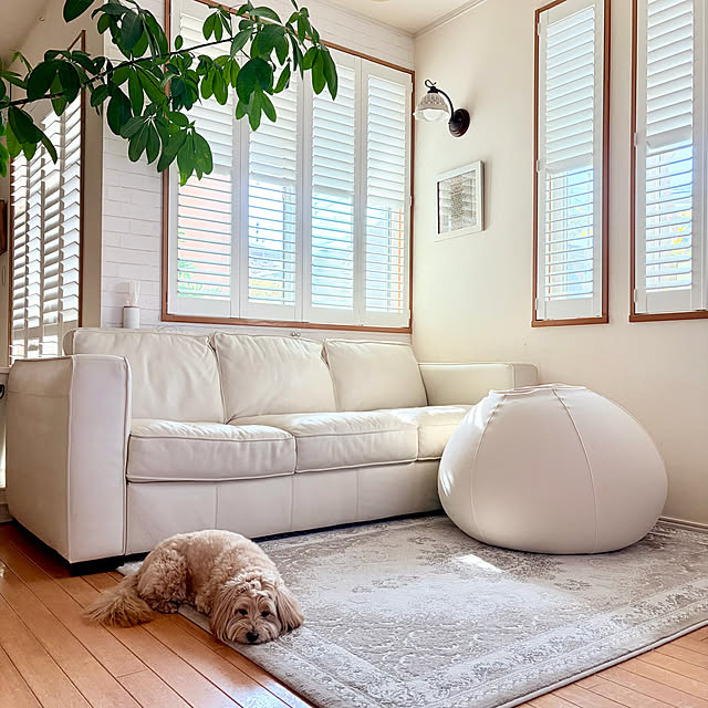 chobisukeさんの実例写真