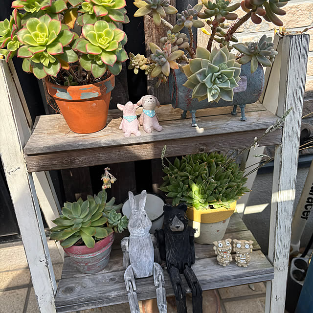 marichulさんの部屋