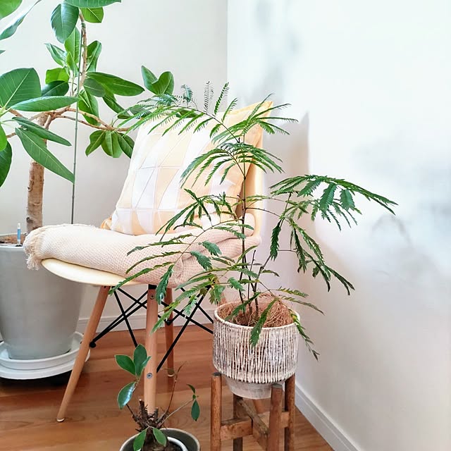 Haさんの部屋