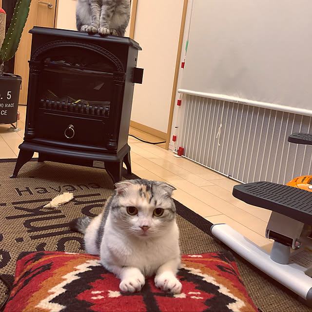 yokkochanさんの実例写真