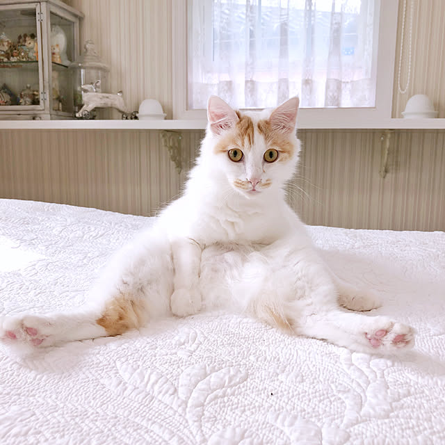 yuchiさんの実例写真