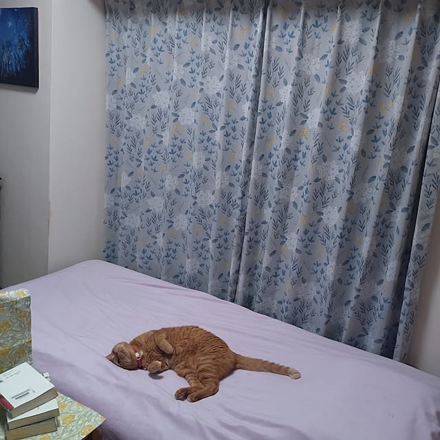 NOAHさんの実例写真