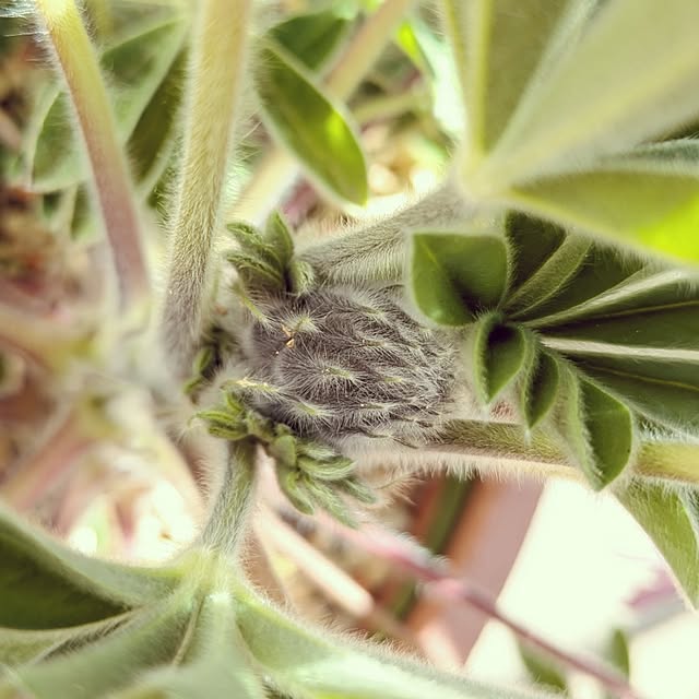 mi-saさんの部屋