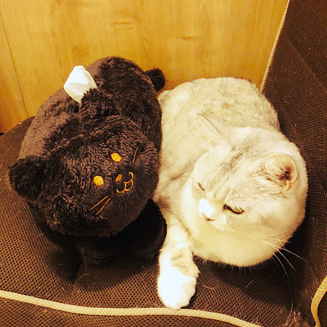 sakura_171220さんの実例写真