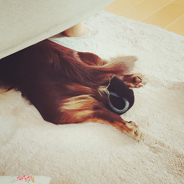 cookie_houseさんの実例写真
