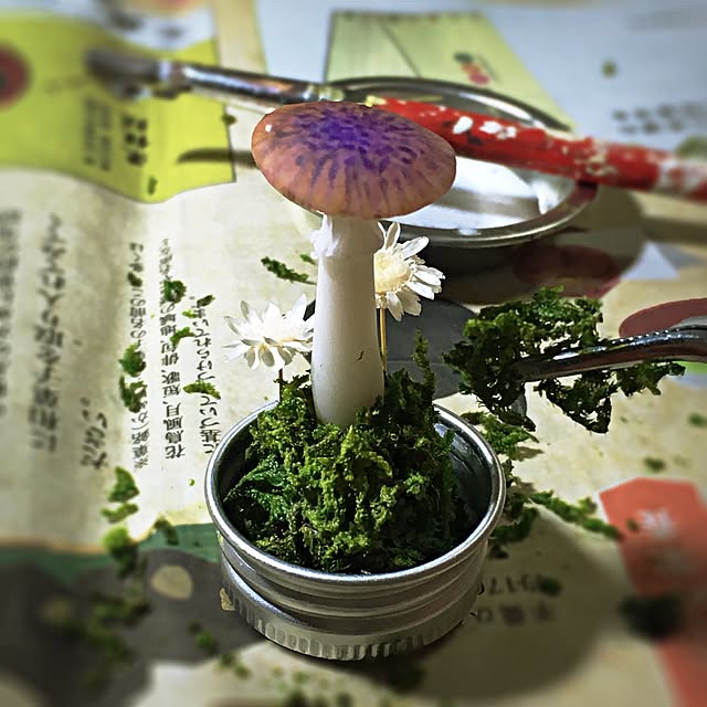 ramuchop3000さんの実例写真