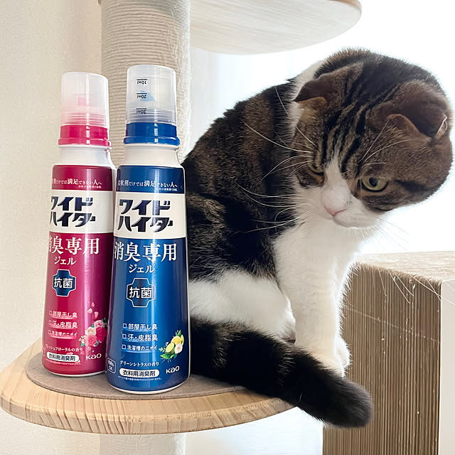 tansukeさんの部屋