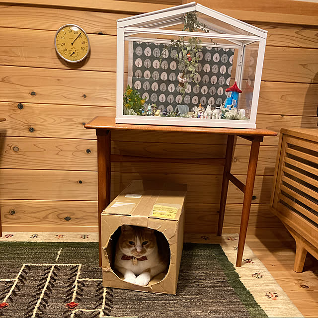 mkmkmoominさんの実例写真