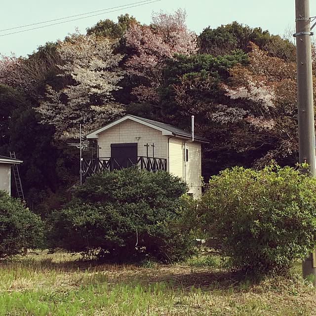 noburin8591さんの実例写真