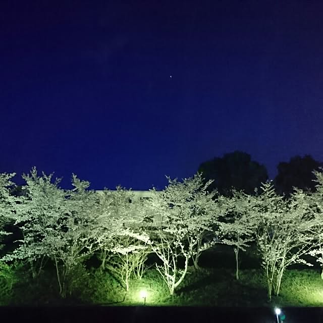 実例写真