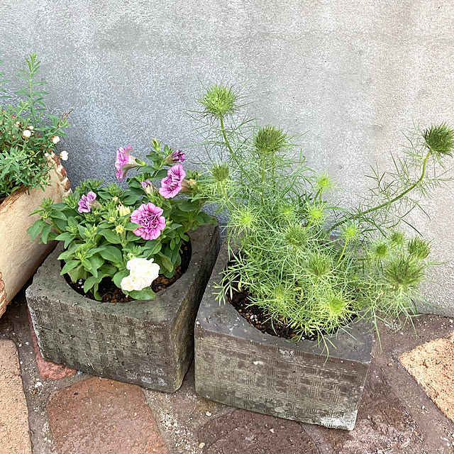 kakamiさんの実例写真