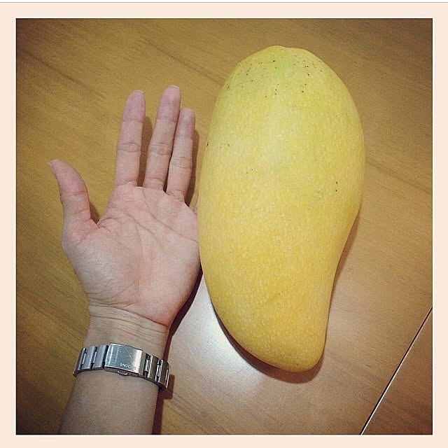 Opiachanさんの実例写真