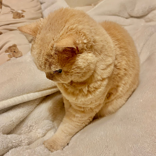 naokoさんの部屋