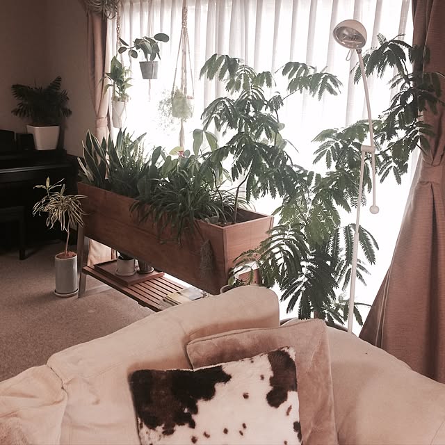 acchanさんの実例写真